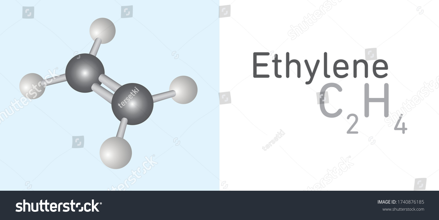 Ethylene C2h4 Gas Molecule Stick Model Stock Vector (Royalty Free ...