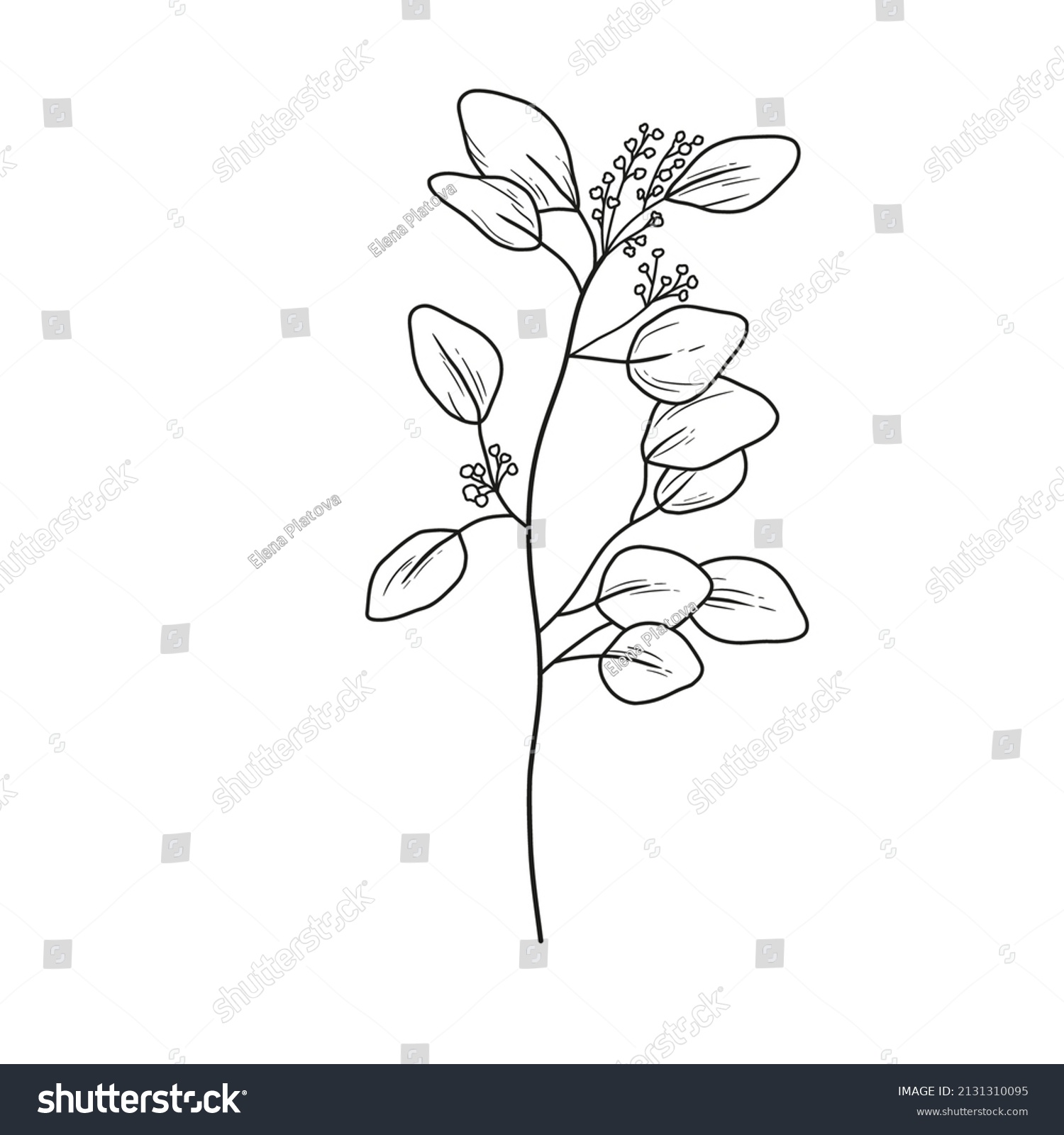 Eucaliptus Branch Line Art Drawing Vector Stock Vector (Royalty Free ...