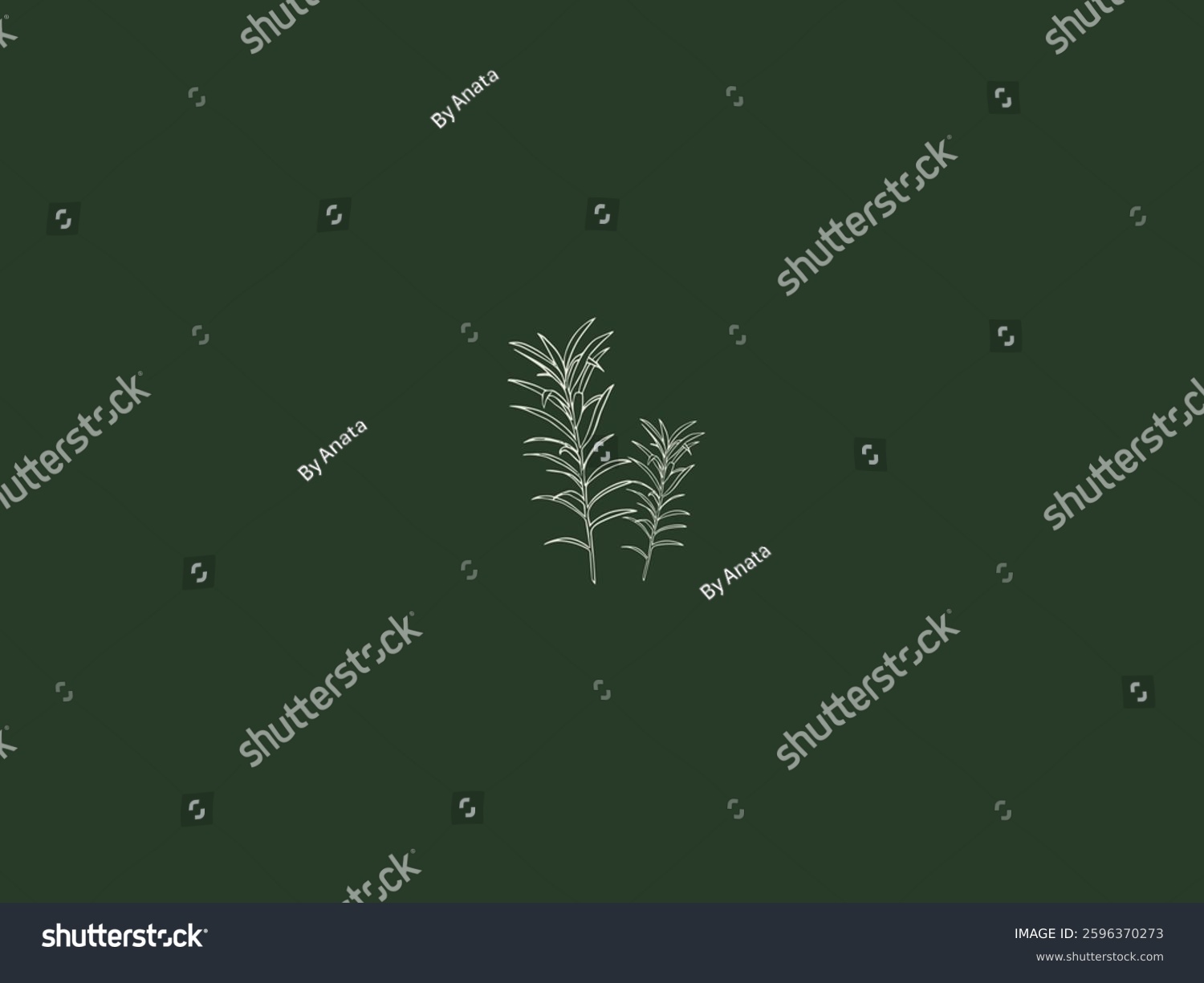 white rosemary on dark green background clip art preview
