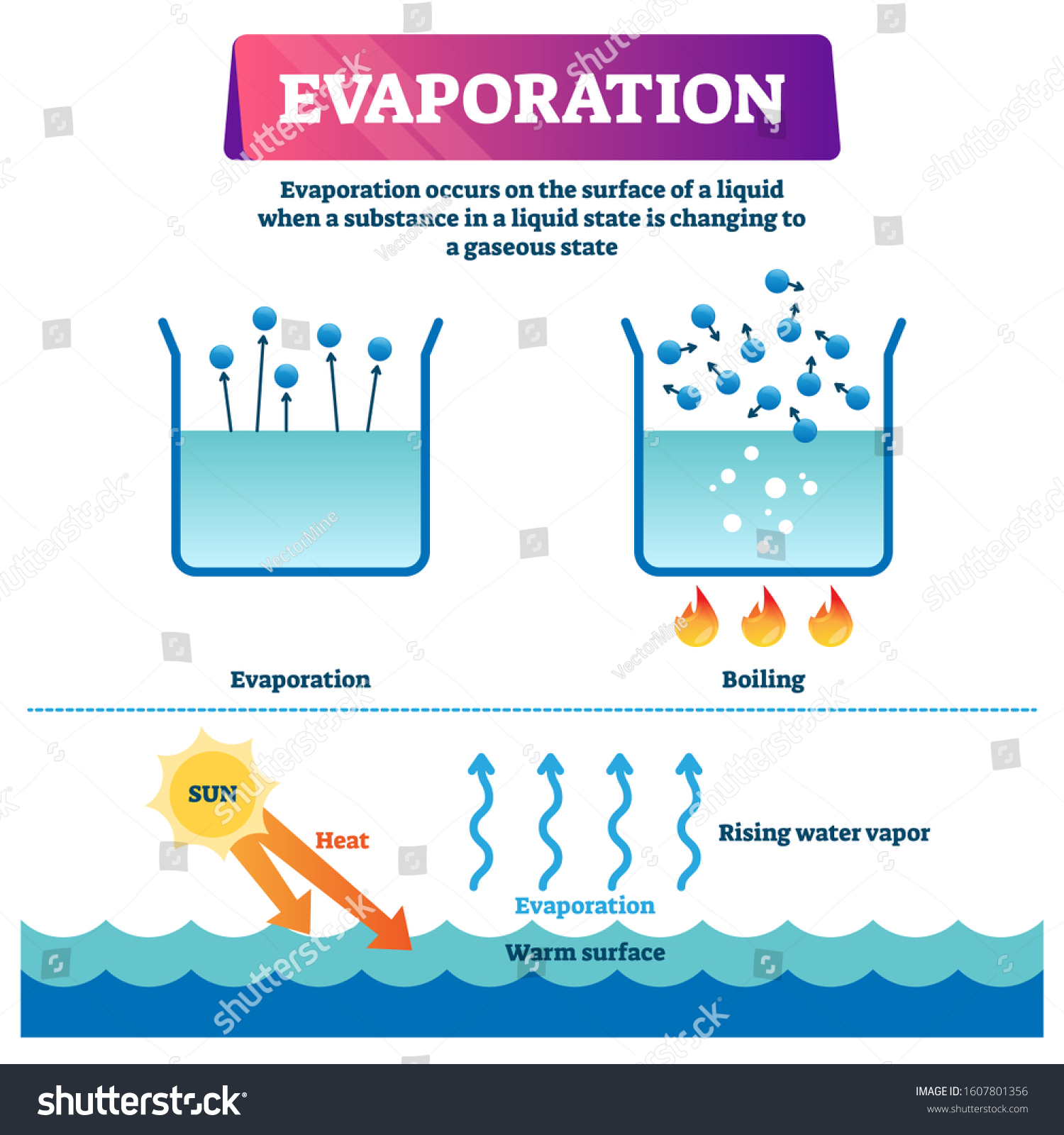 Evaporation Vector Illustration Labeled Liquid Surface Stock Vector ...