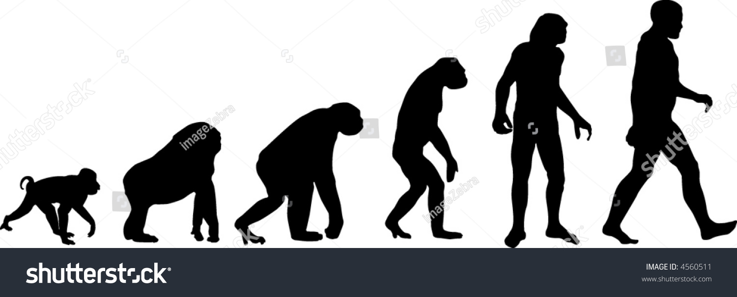 Evolution Stock Vector 4560511 - Shutterstock