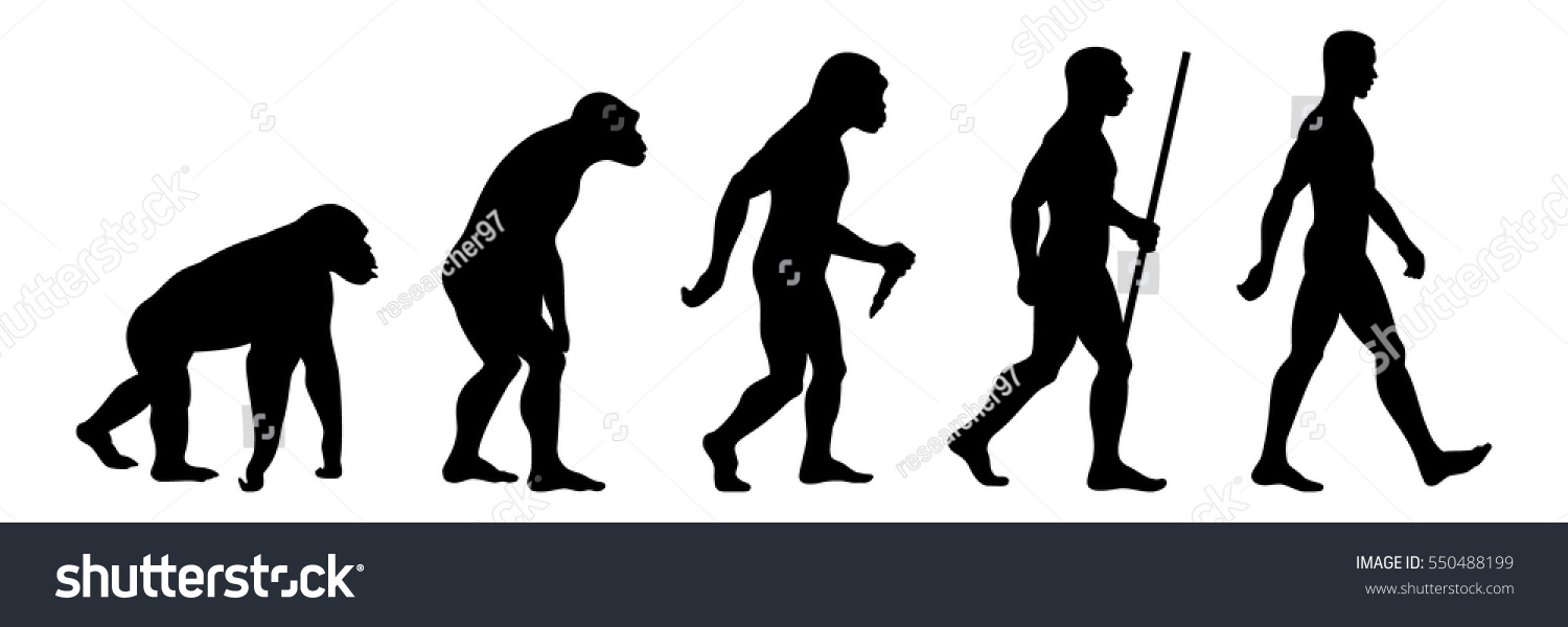 Evolution. Stock Vector 550488199 : Shutterstock