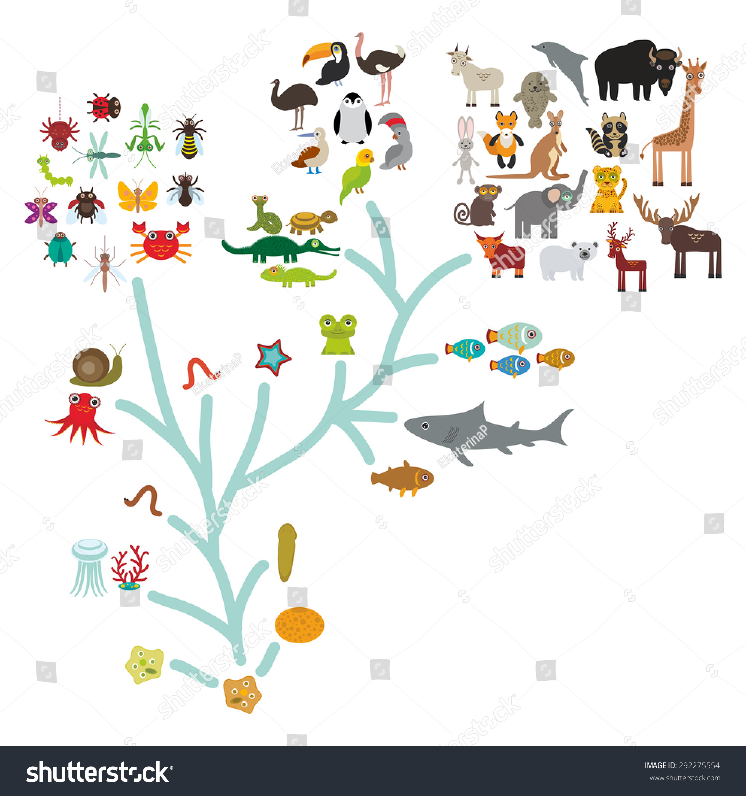 Evolution In Biology, Scheme Evolution Of Animals Isolated On White ...