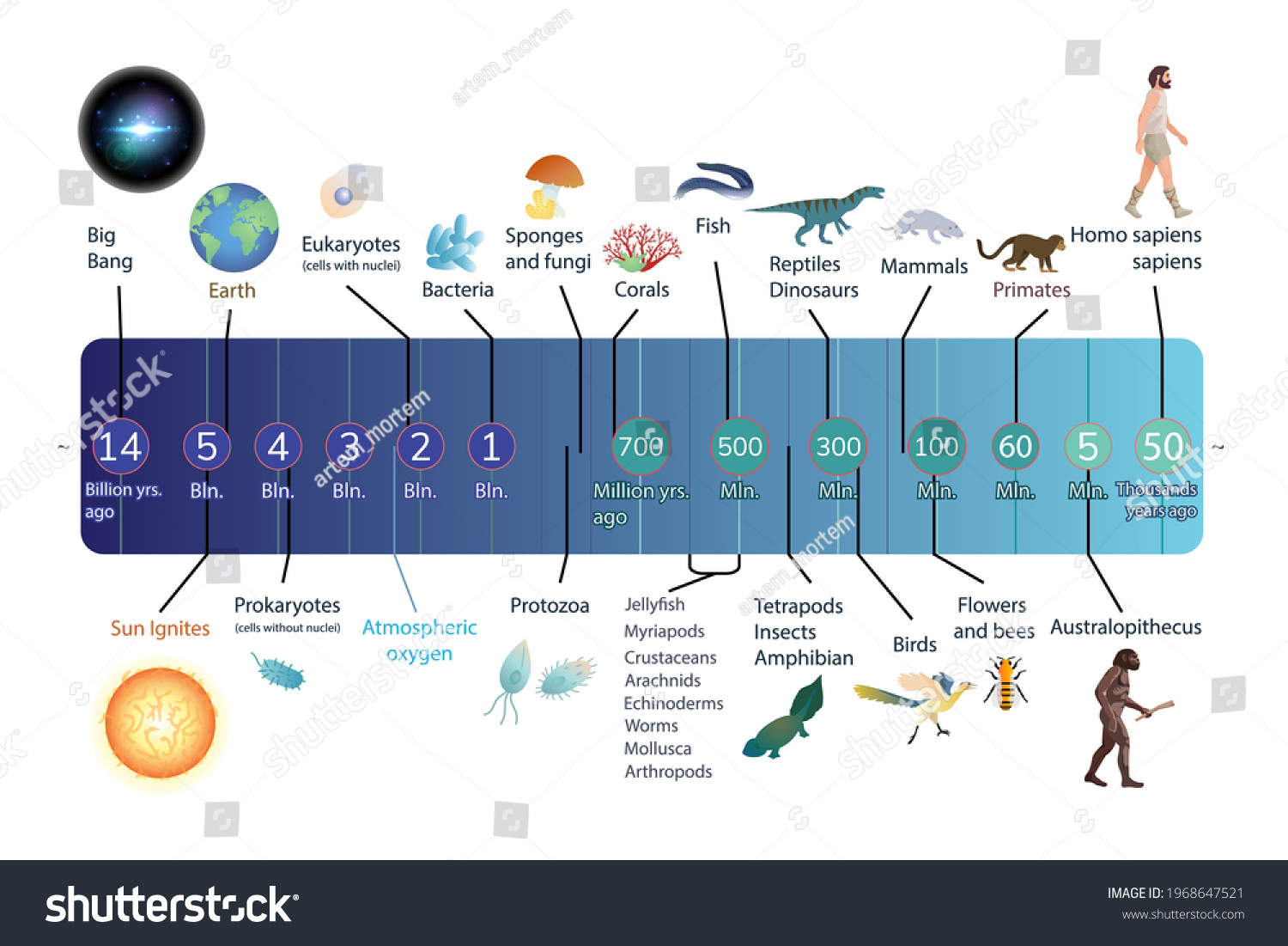 Evolution Life Timeline Scale Geologic Time Stock Vector (Royalty Free) 1968647521 | Shutterstock