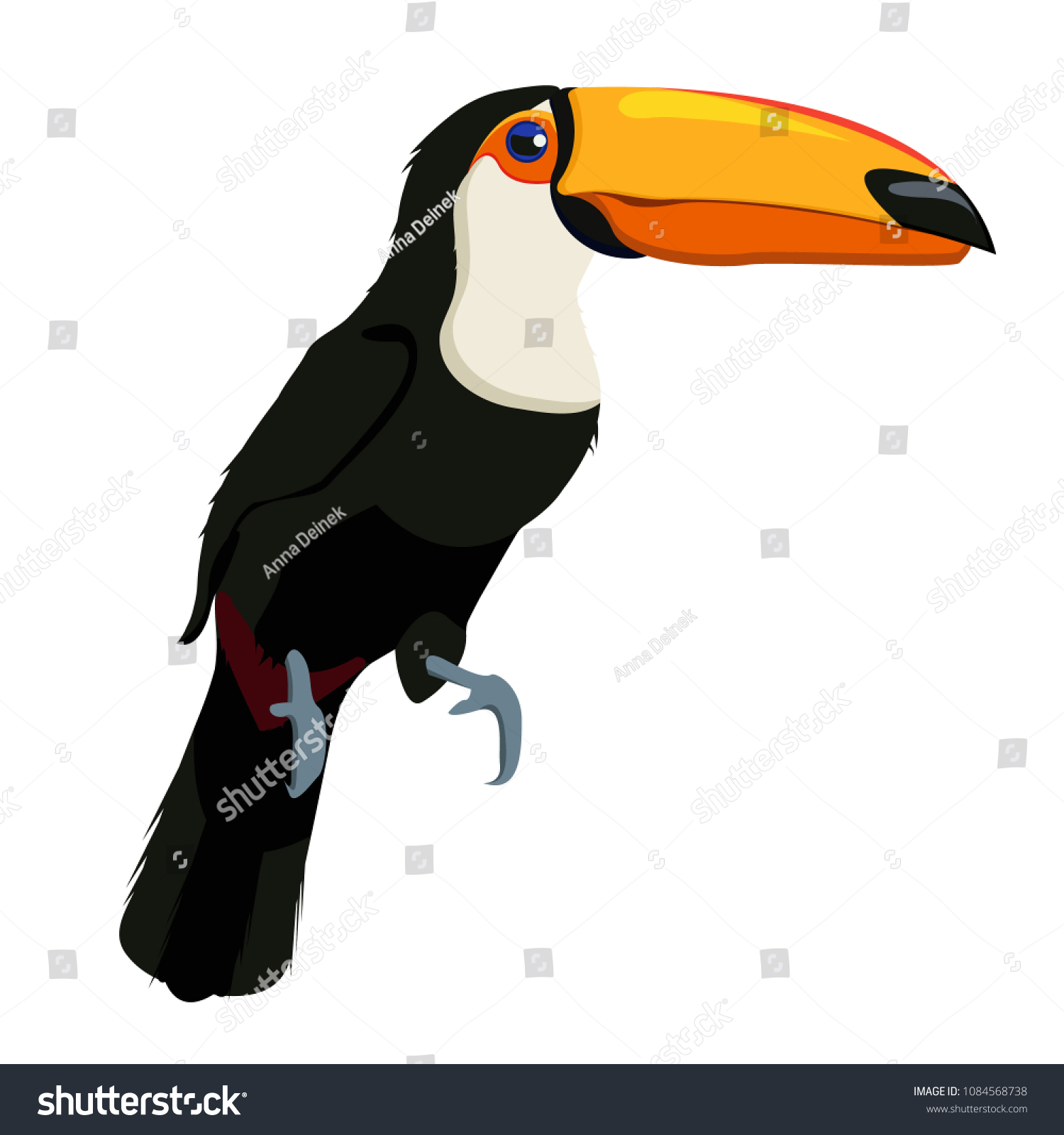 エキゾチックなアフリカの鳥ツーカン 白い胸を持つ黒い鳥 大きな黄色いくちばし 先端が黒く 腹部に赤い斑点がある長い尾 大きな鋭い爪 白い背景にモダンなベクター画像フラット画像 のベクター画像素材 ロイヤリティフリー