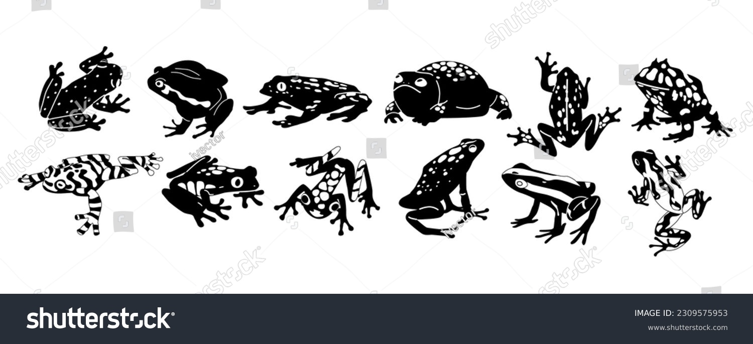 SVG of Exotic Frogs Black And White Icons, Representing The Unique Beauty Of These Amphibians With Minimalistic Elegance svg