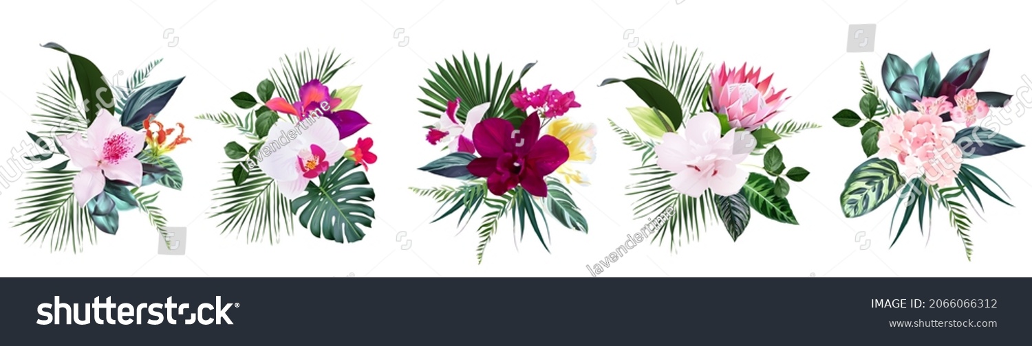 SVG of Exotic tropical flowers, orchid, hibiscus, bougainvillea, protea, alstroemeria, palm, monstera leaves vector design bouquet. Jungle forest wedding floral design. Island greenery. Isolated and editable svg
