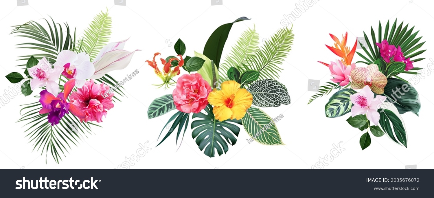 SVG of Exotic tropical flowers, orchid, strelitzia, hibiscus, bougainvillea, gloriosa, palm, monstera leaves vector design bouquet. Jungle forest wedding floral design. Island greenery. Isolated and editable svg