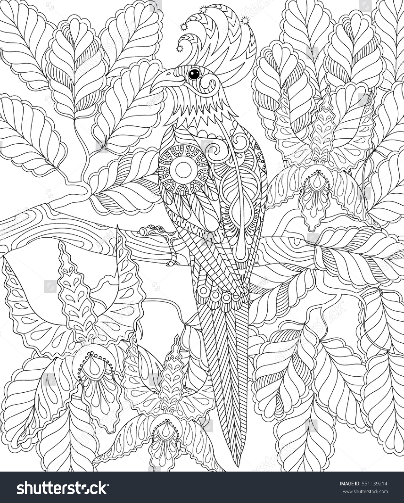 Exotic Tropical Zentangle Bird Adult Anti Stock Vector (Royalty Free ...