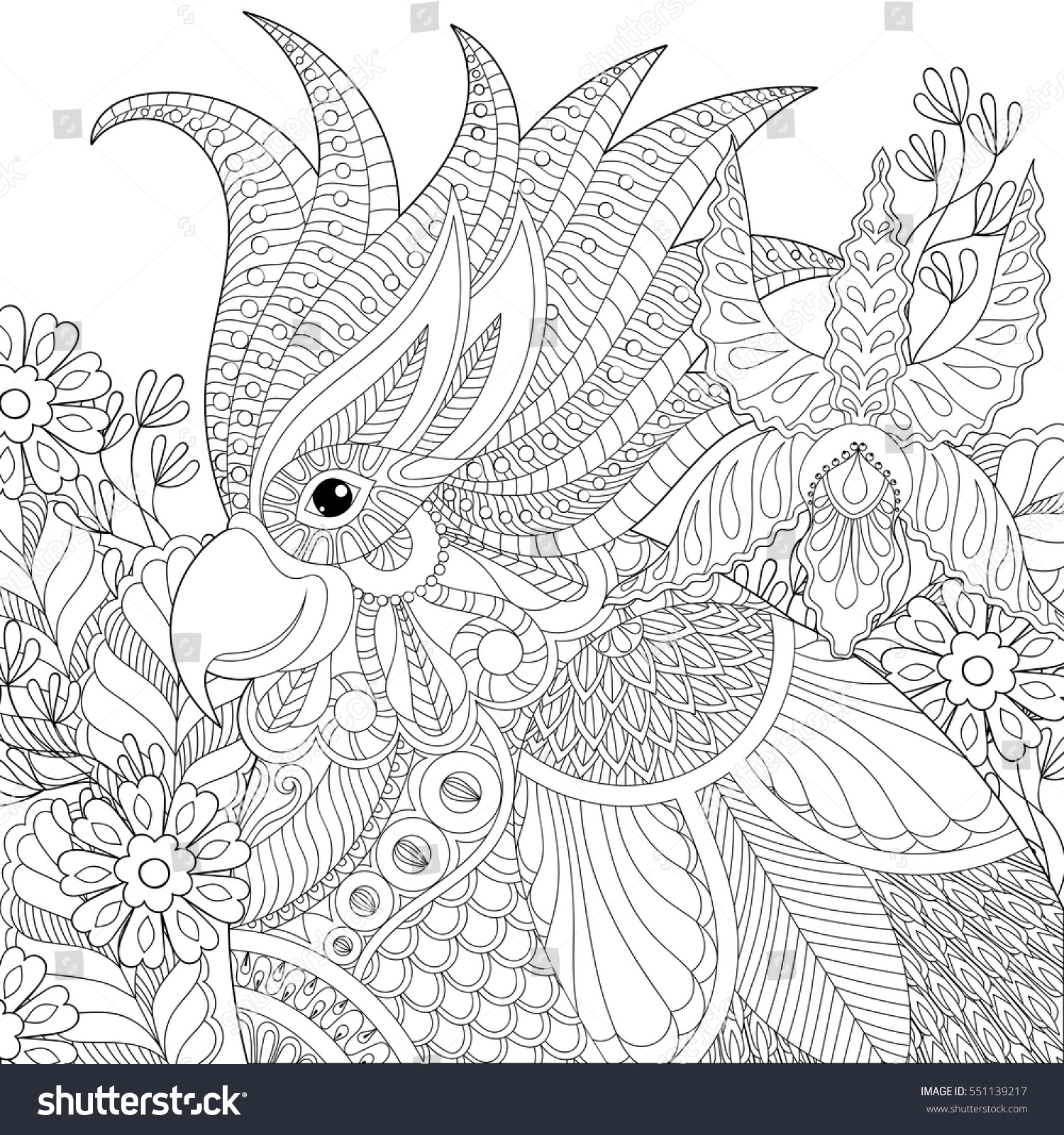 Exotic zentangle cockatoo parrot for adult anti stress coloring pages book bird head with