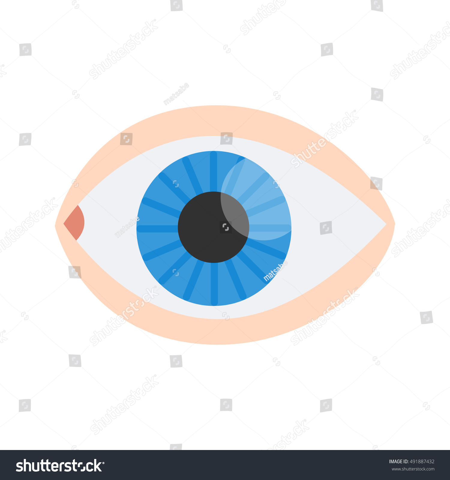 Eye Flat Icon Eye Blue Iris Stock Vector 491887432 - Shutterstock