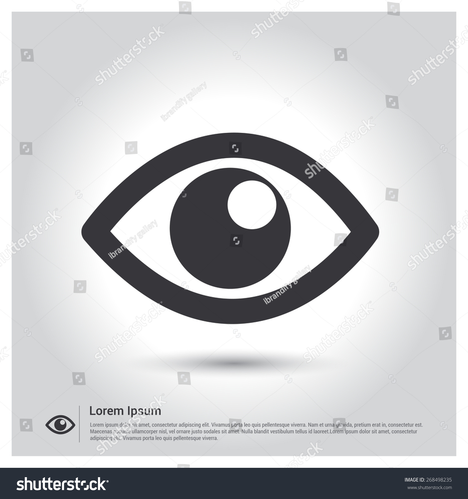 Eye Icon. Optic Symbol Icon On Gray Background Stock Vector 268498235 ...