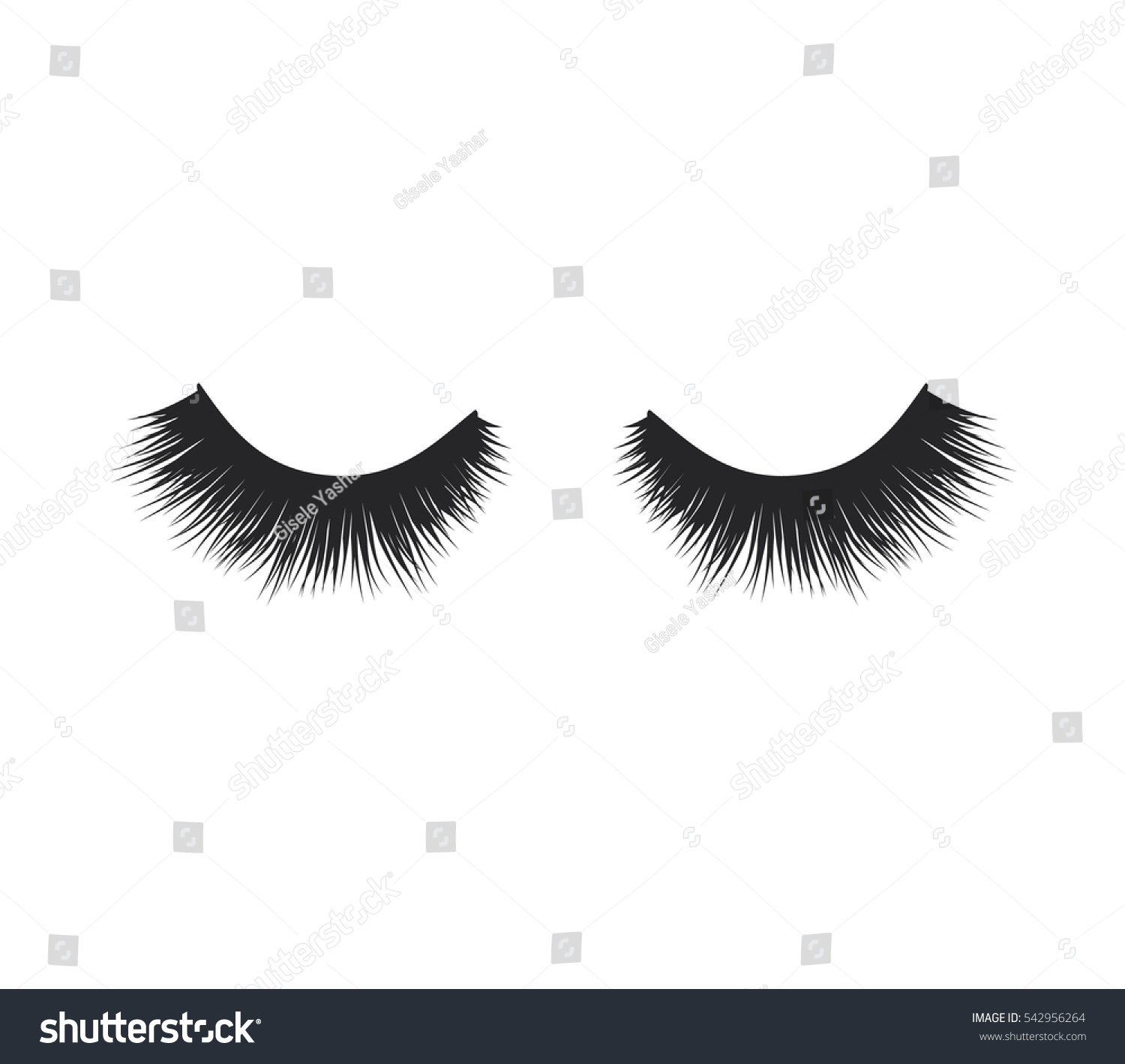 Eye Lashes Vector Icon Lashes Vector Stock Vector Royalty Free 542956264 2952