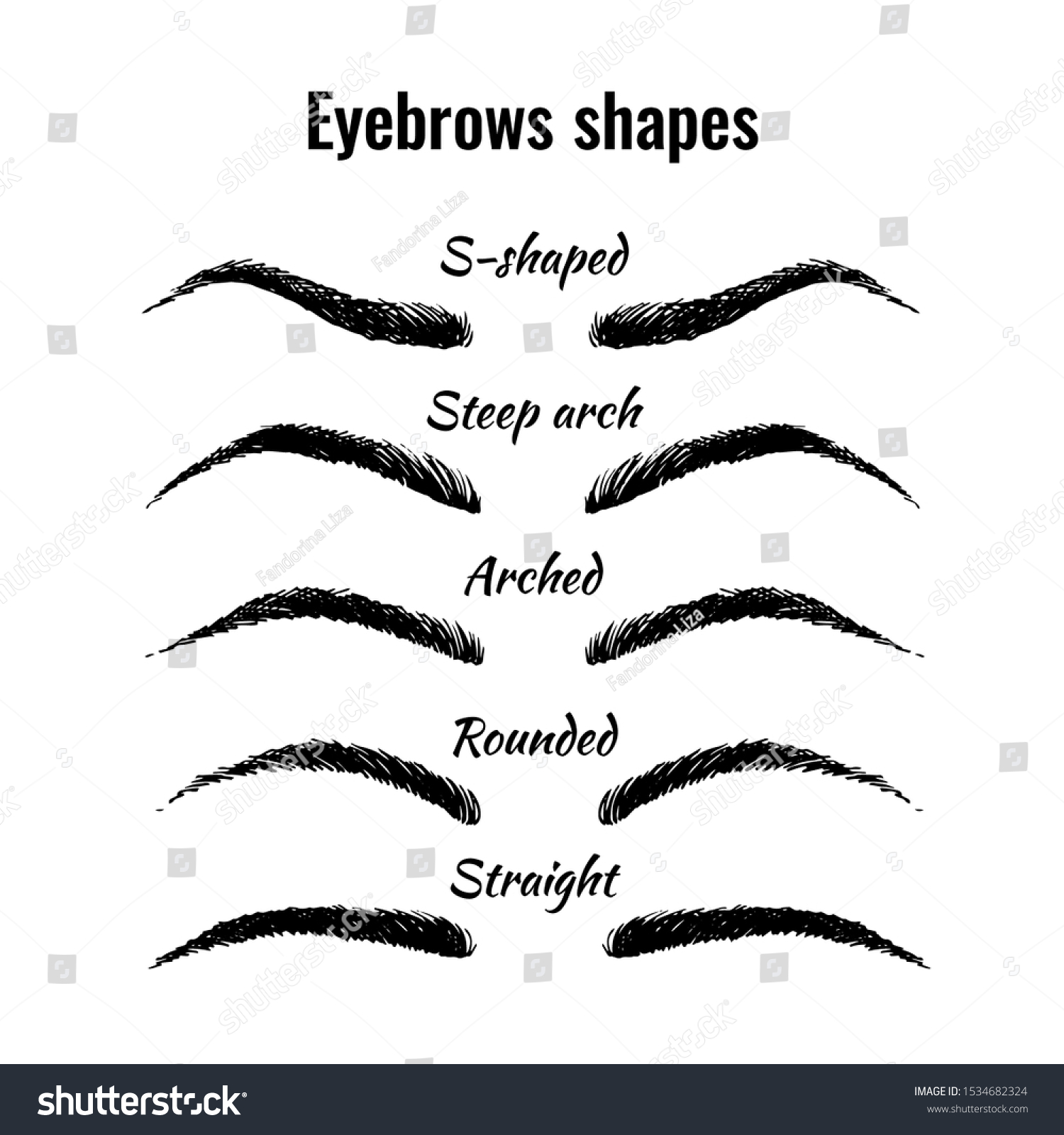 Eyebrows Shapes Vector Set Five Main Stock Vector (Royalty Free) 1534682324