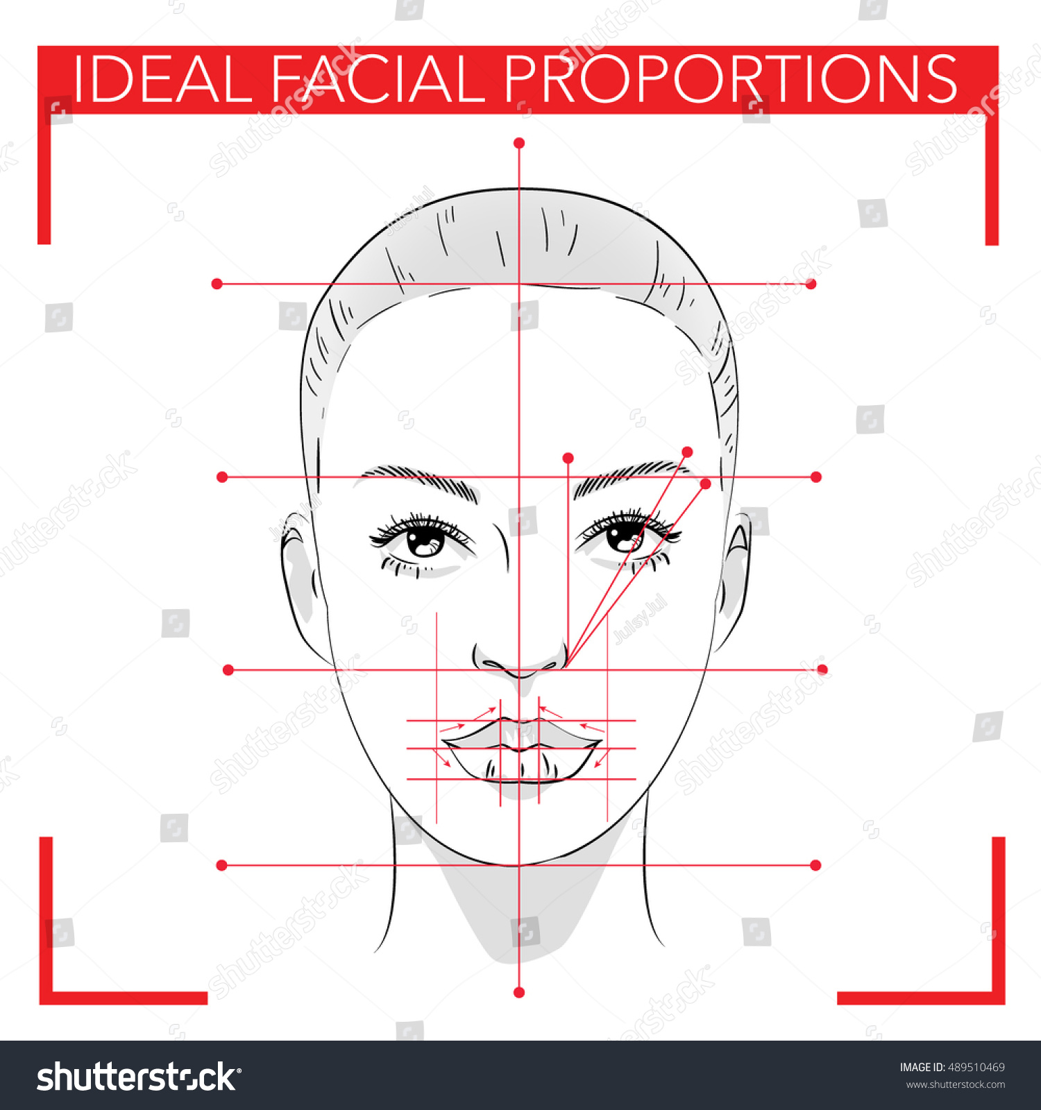 Ideal Facial Proportions 19