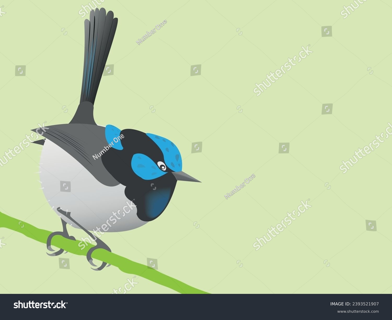 recommend clip art: Fairy-wren bird bright vector illustration. Australian songbird fairy wren. Bright small avian  image. Wildlife Australia bird. Green   Background.
