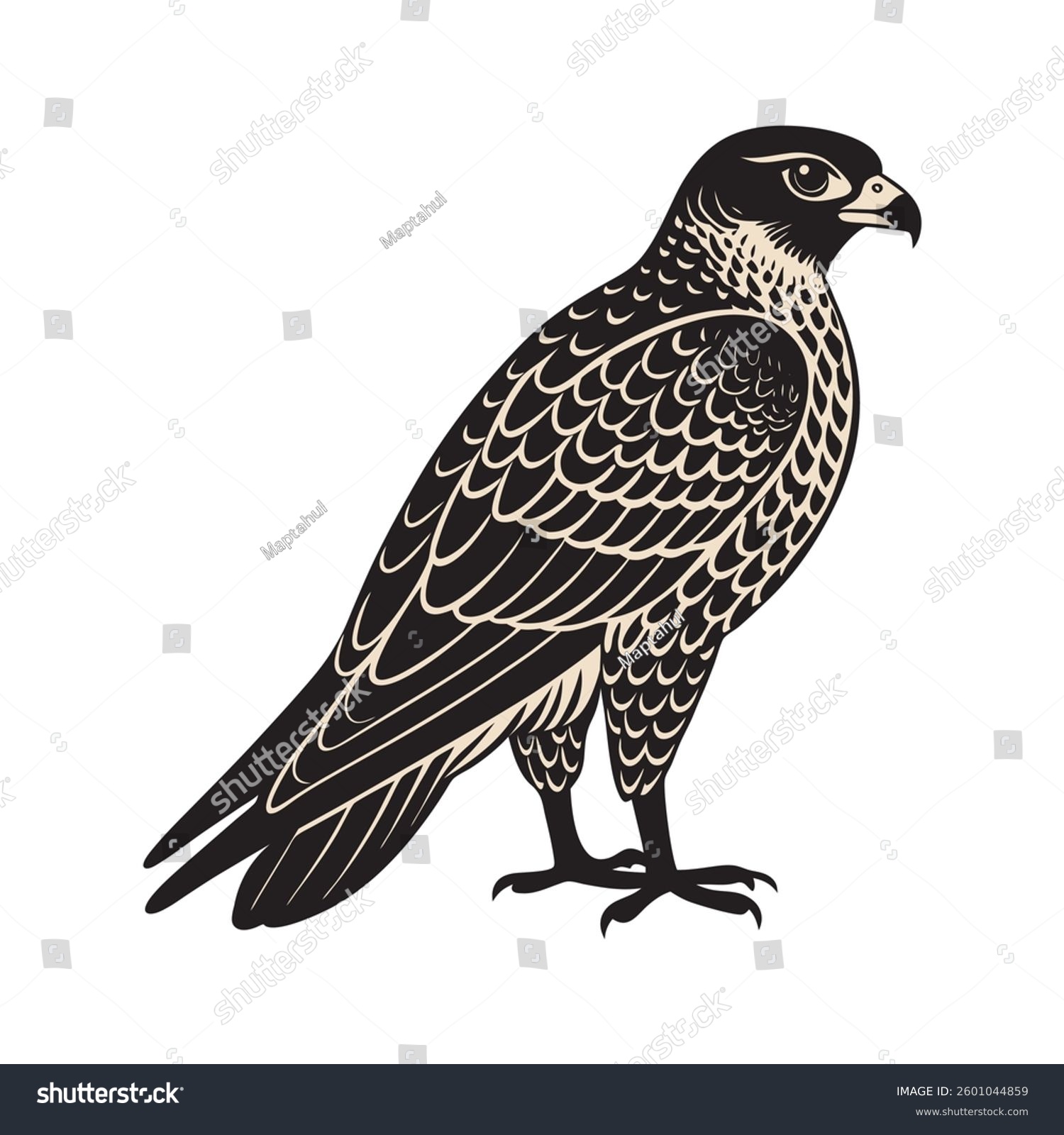 black and white falcon standing, side view clip art preview