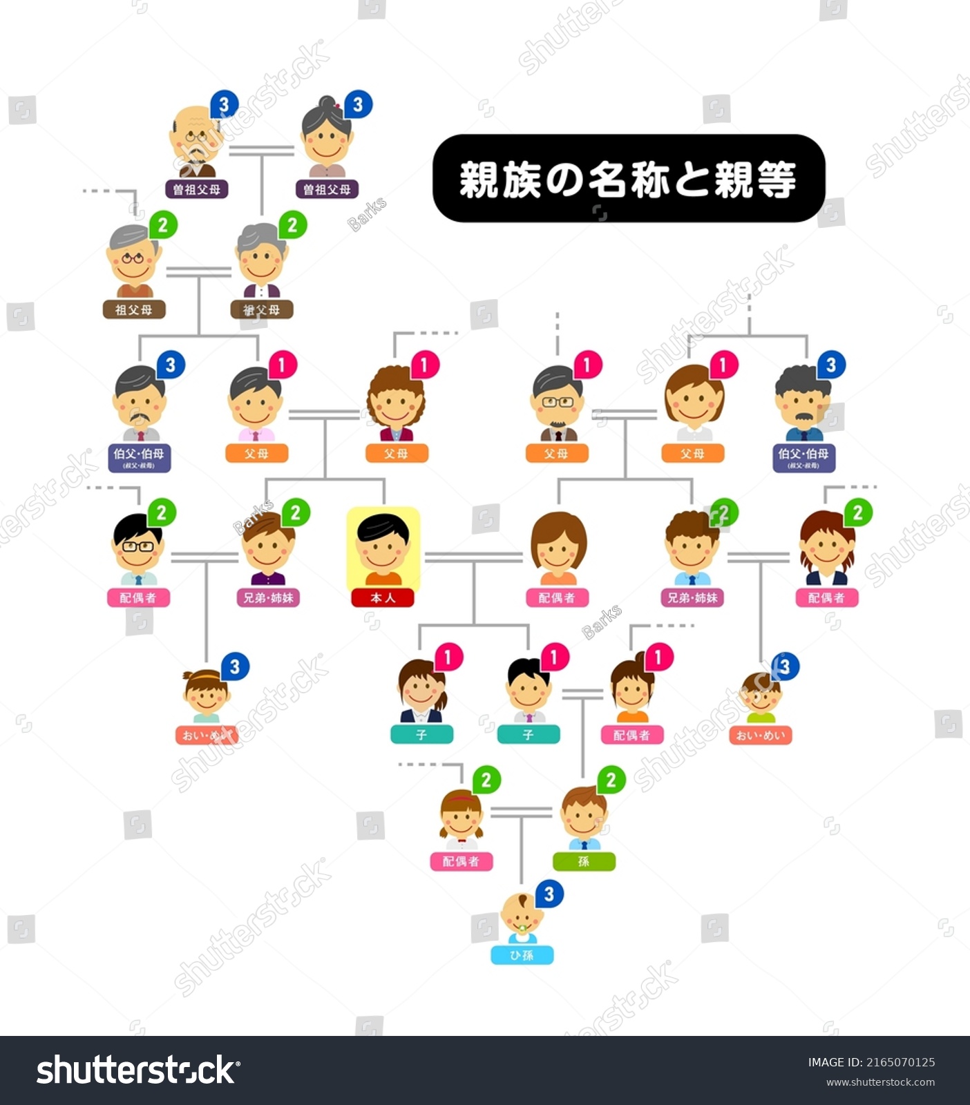 Family Tree Members Family Vector Illustration Stock Vector (Royalty ...