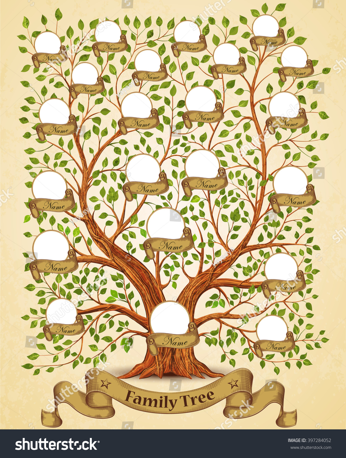 Family Tree Template Vintage Vector Illustration Stock Vector 397284052 Shutterstock Family Tree Stock Vector Illustration