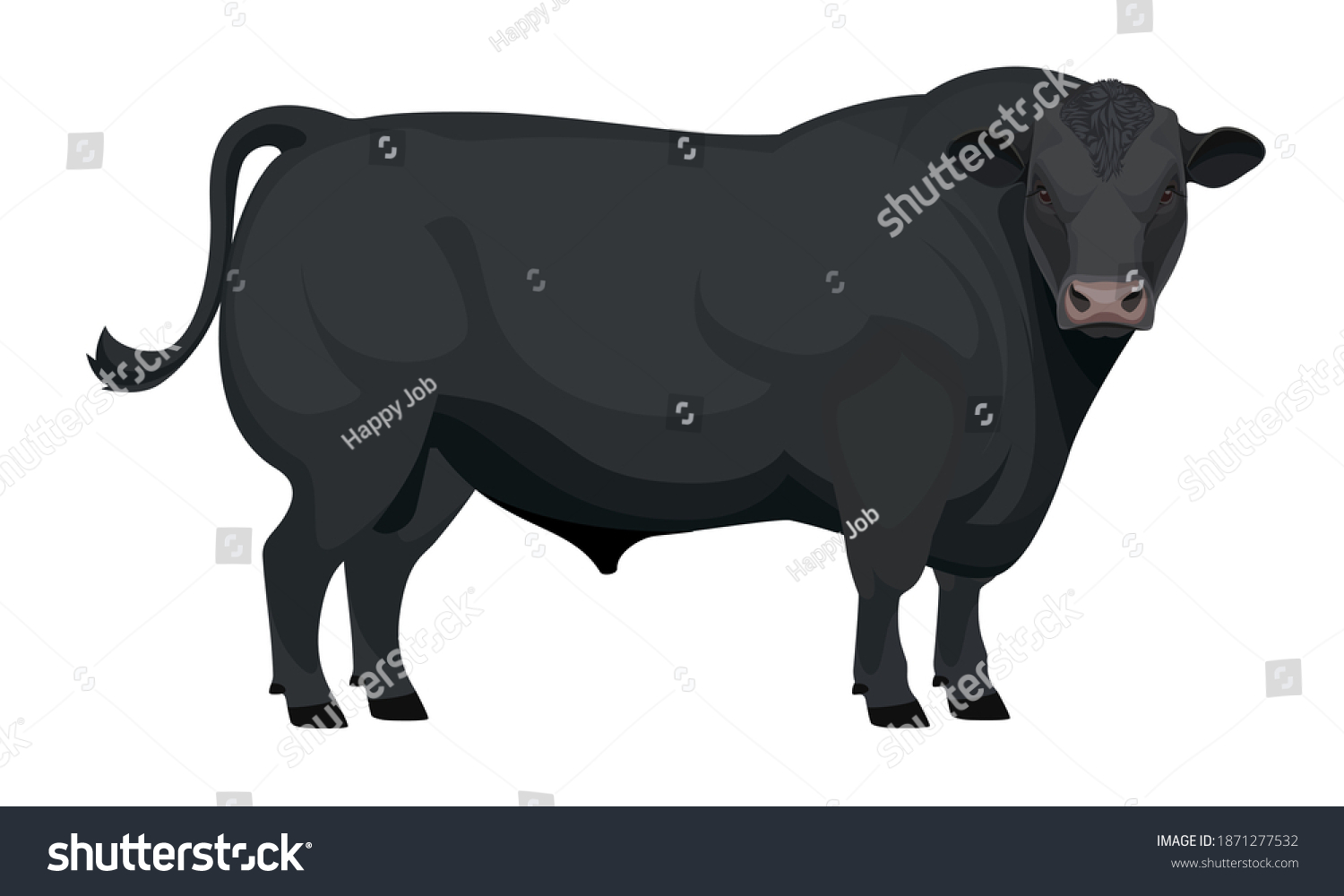 SVG of Farm animal - Bull. Aberdeen Angus - The Best Beef Cattle Breeds collection. Vector Illustration. svg