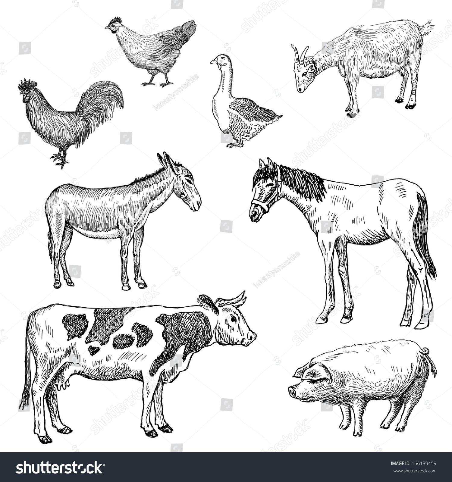 Farm Animals. Set Of Vector Sketches - 166139459 : Shutterstock