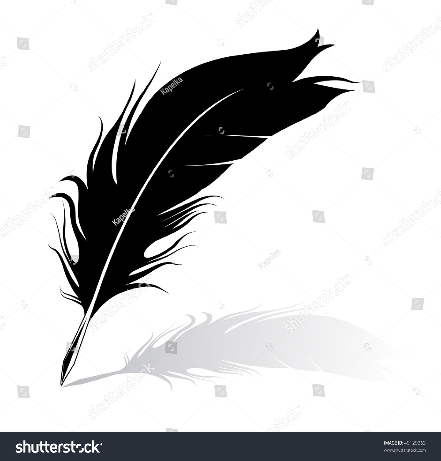 Feather Stock Vector 49129363 - Shutterstock