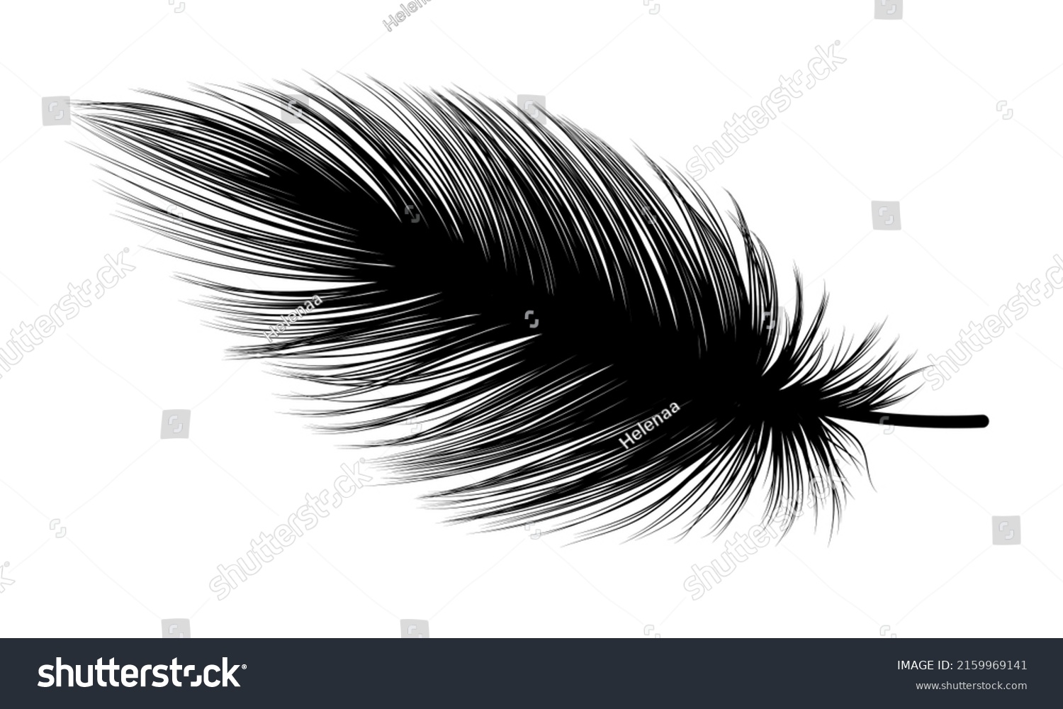 Feather Isolated On Whitevector Illustration Stock Vector (Royalty Free ...