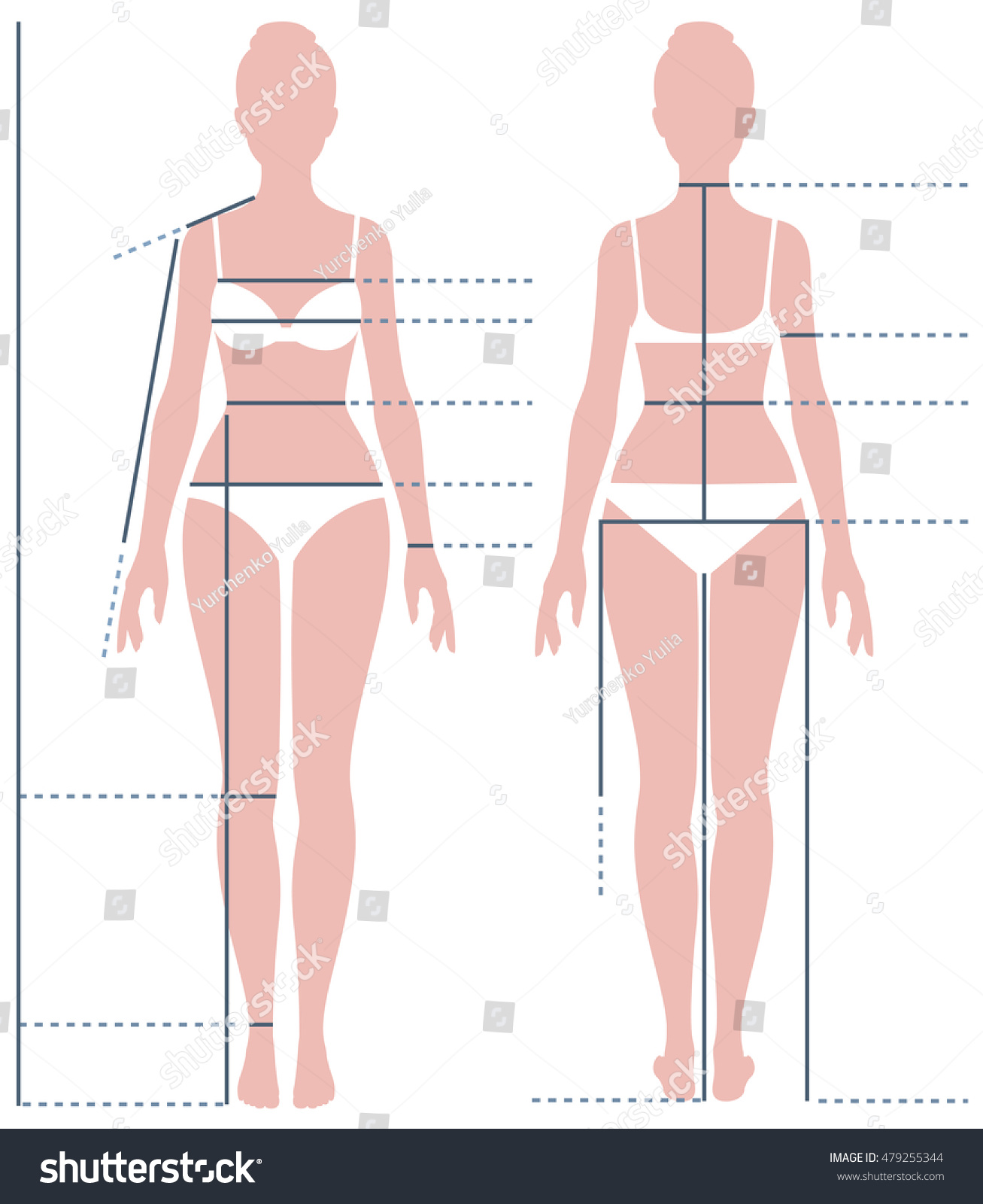 Female Body Full Length Measuring Size Stock Vector Royalty