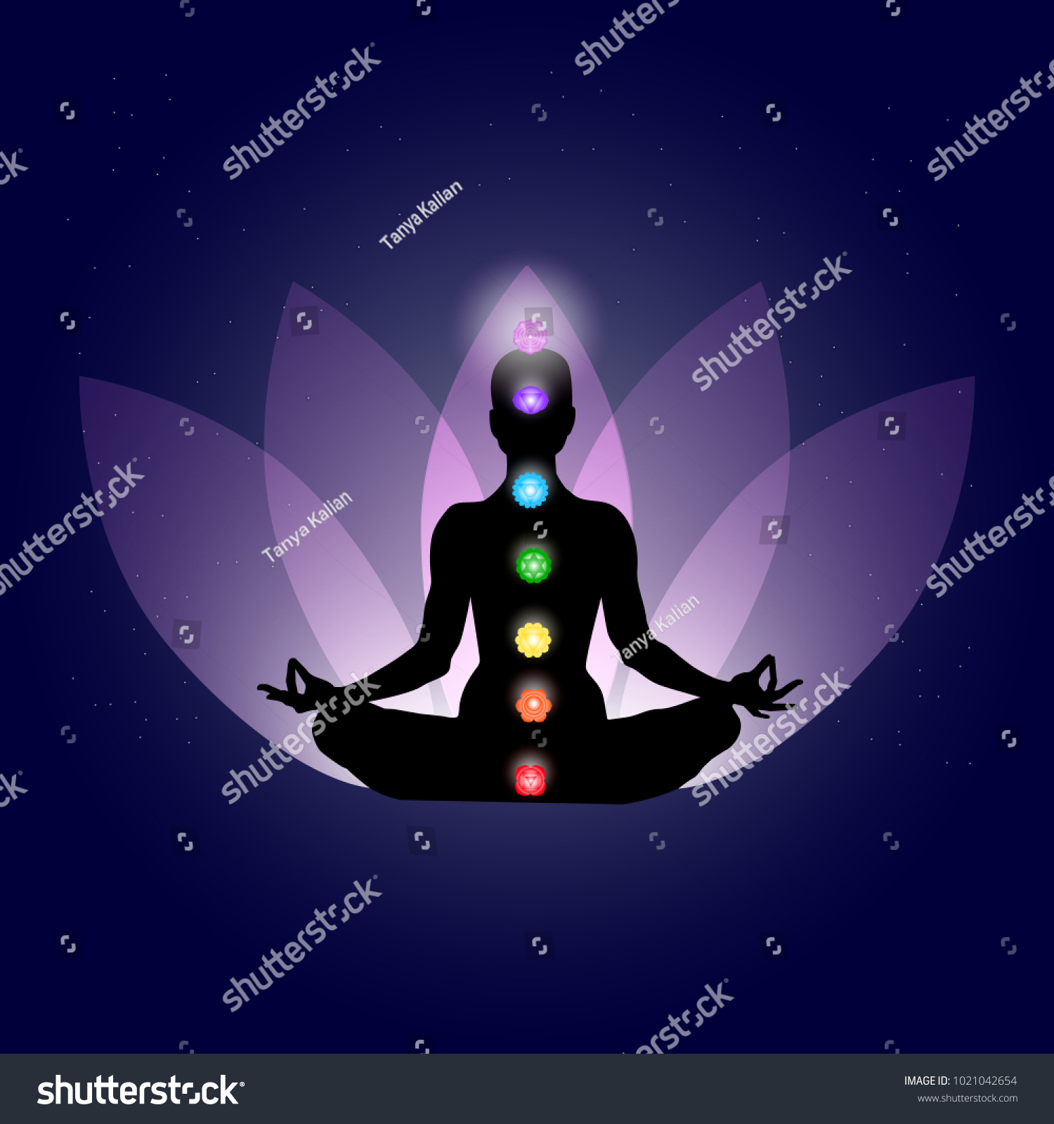 Female Body Yoga Assana Seven Chakras Stock Vector (Royalty Free ...