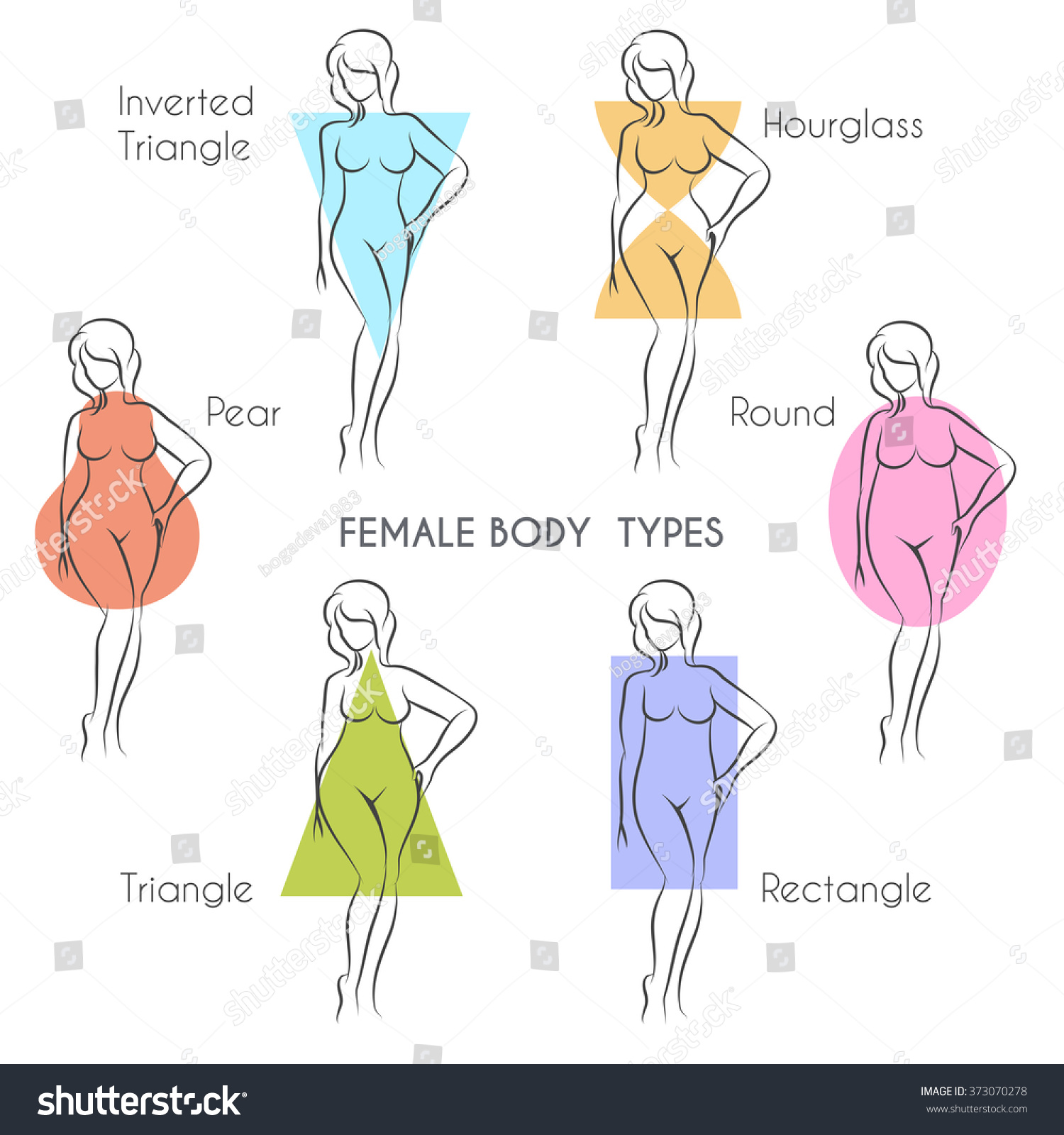 different female body types