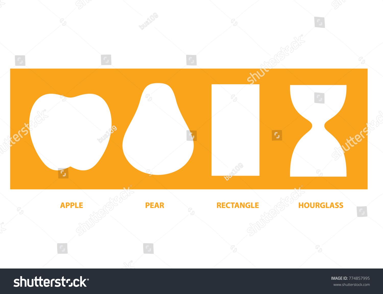 Female Body Types Shapes Set Vector Vetor Stock Livre De Direitos 774857995 Shutterstock 7410