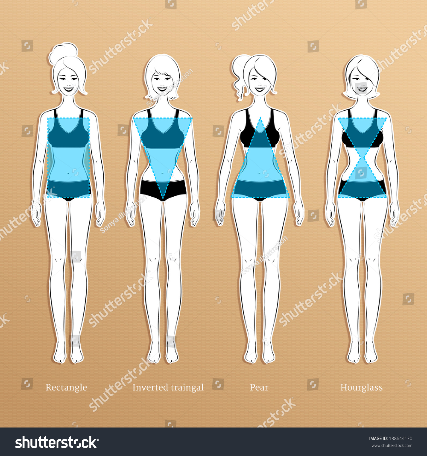 Female Body Types. Vector Illustration. - 188644130 : Shutterstock