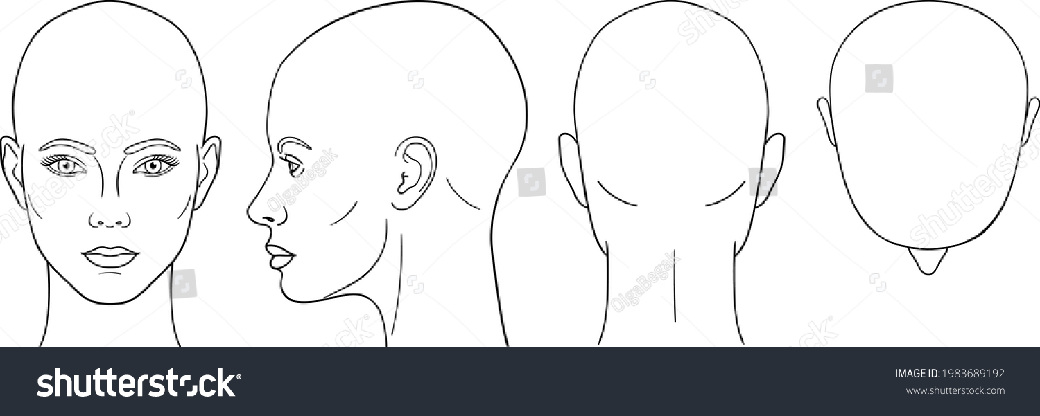 20,698 Woman head top view Images, Stock Photos & Vectors | Shutterstock