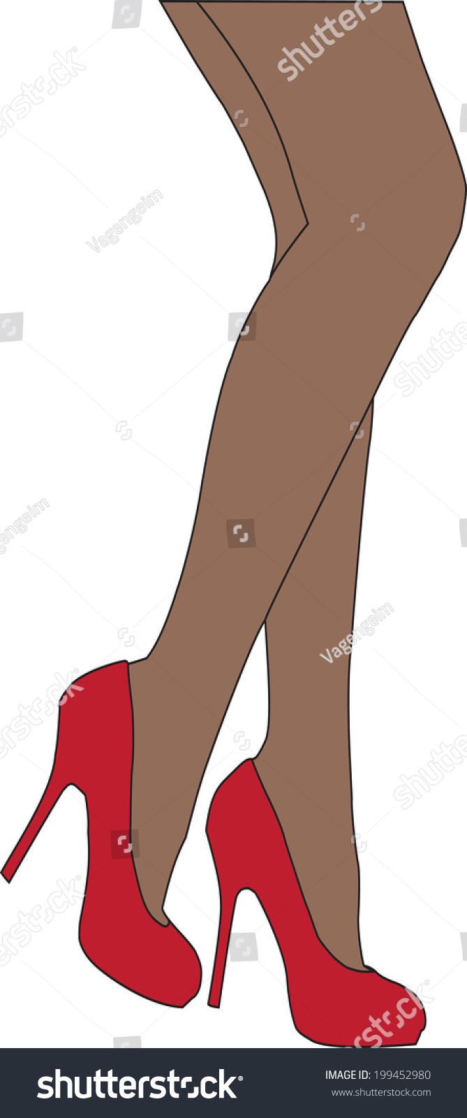Female Legs In Shoes Isolated On White Background Stock Vector ...