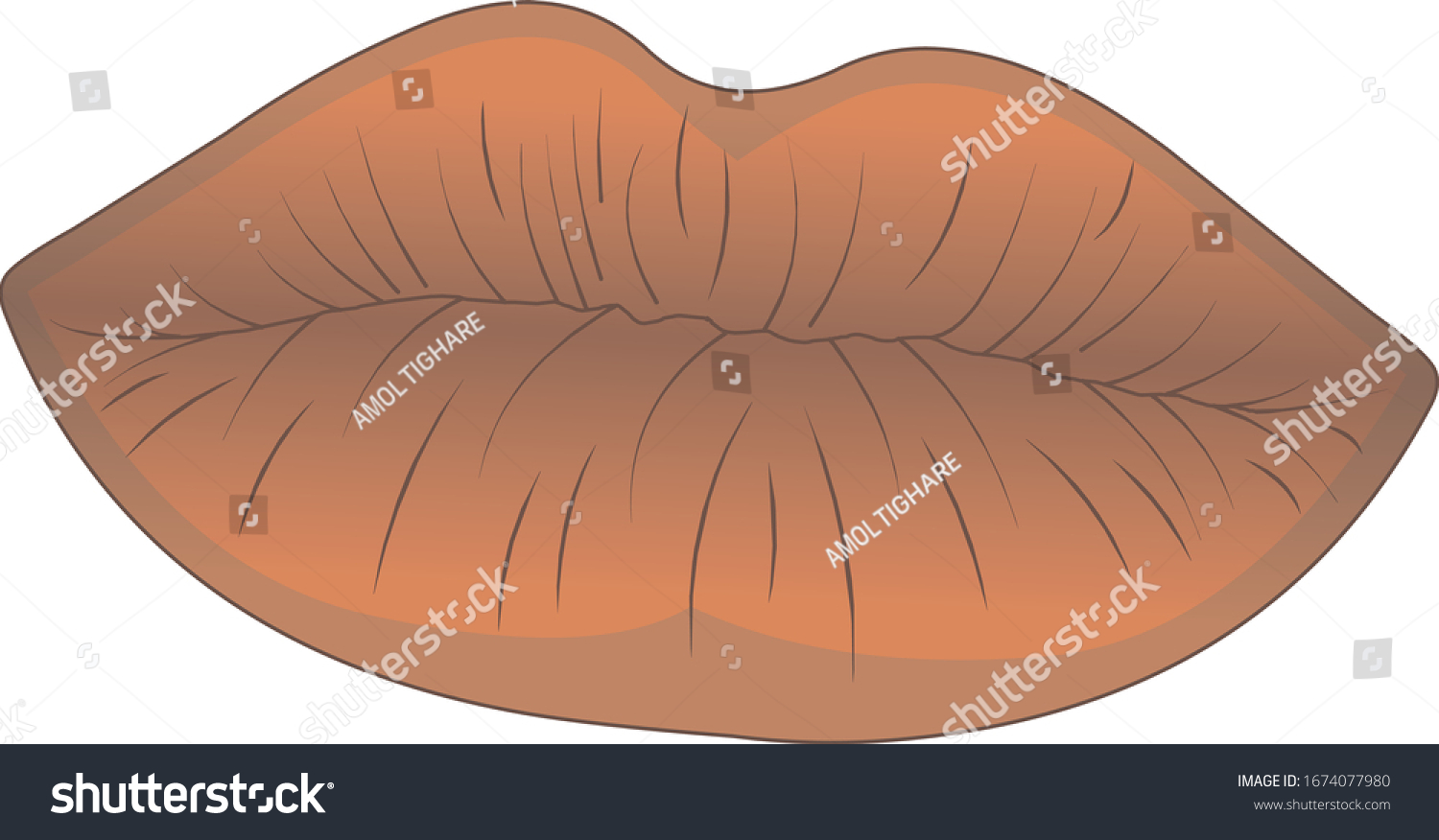 lips illustrator download