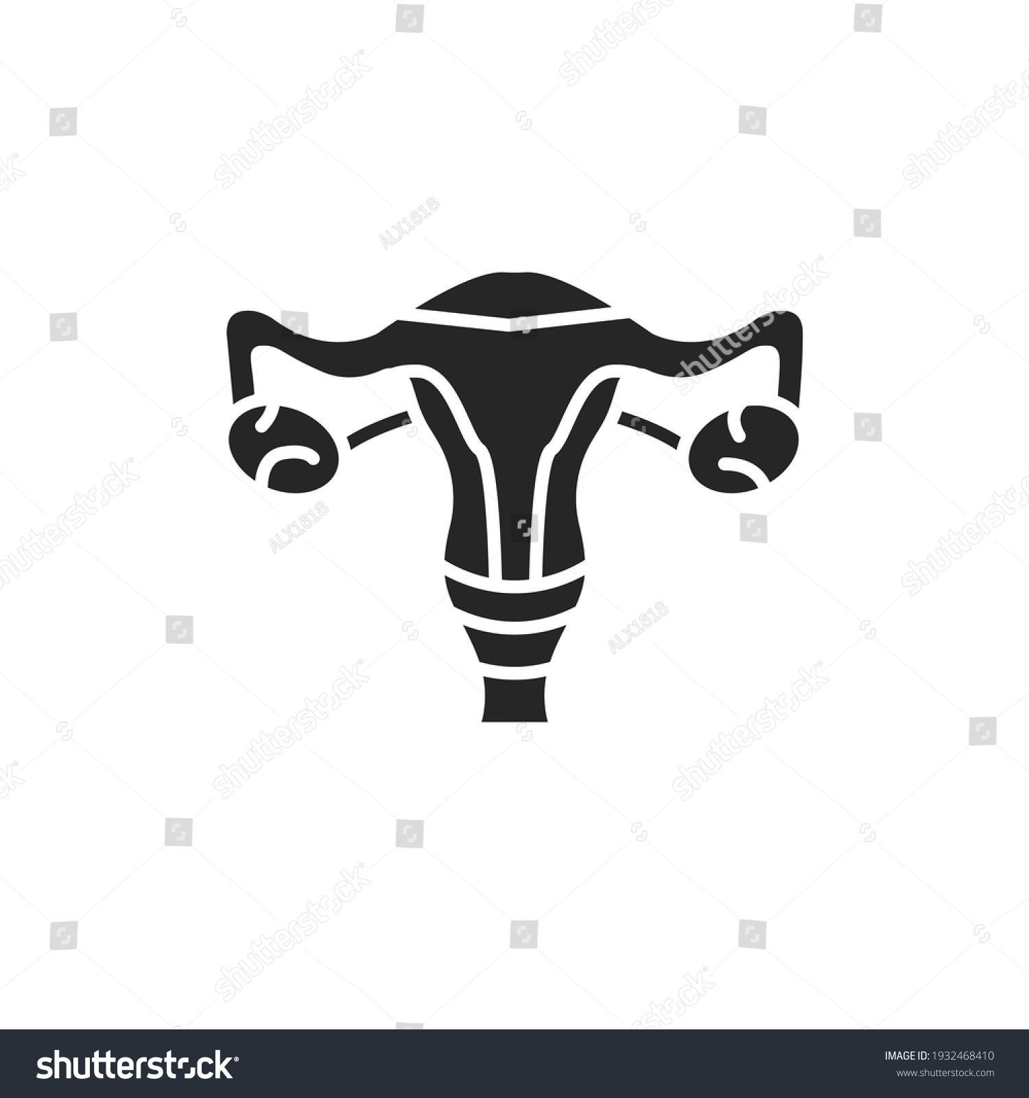 Sistema Reproductivo Femenino Glifo Icono Negro Vector De Stock Libre De Regalías 1932468410 8032