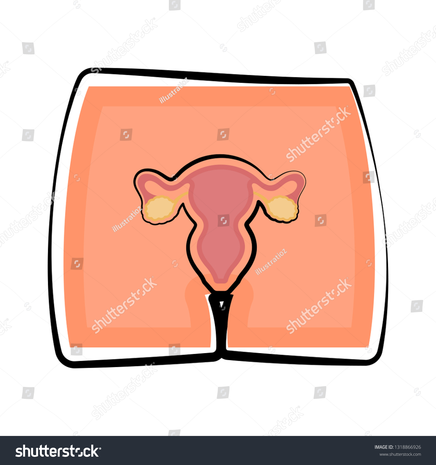 Female Reproductive System Body Colored Sketch Stock Vector Royalty Free 1318866926 Shutterstock 2941