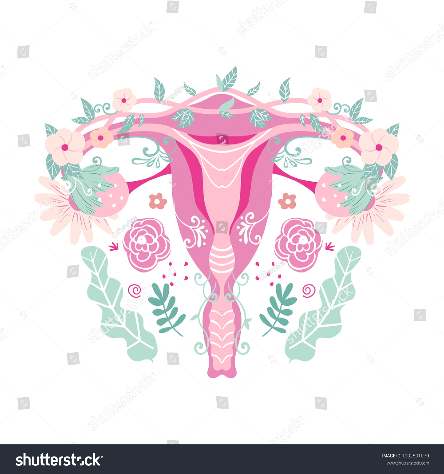 Female Reproductive System Uterus Flowers Vector Stock Vector Royalty Free 1902591079 8527