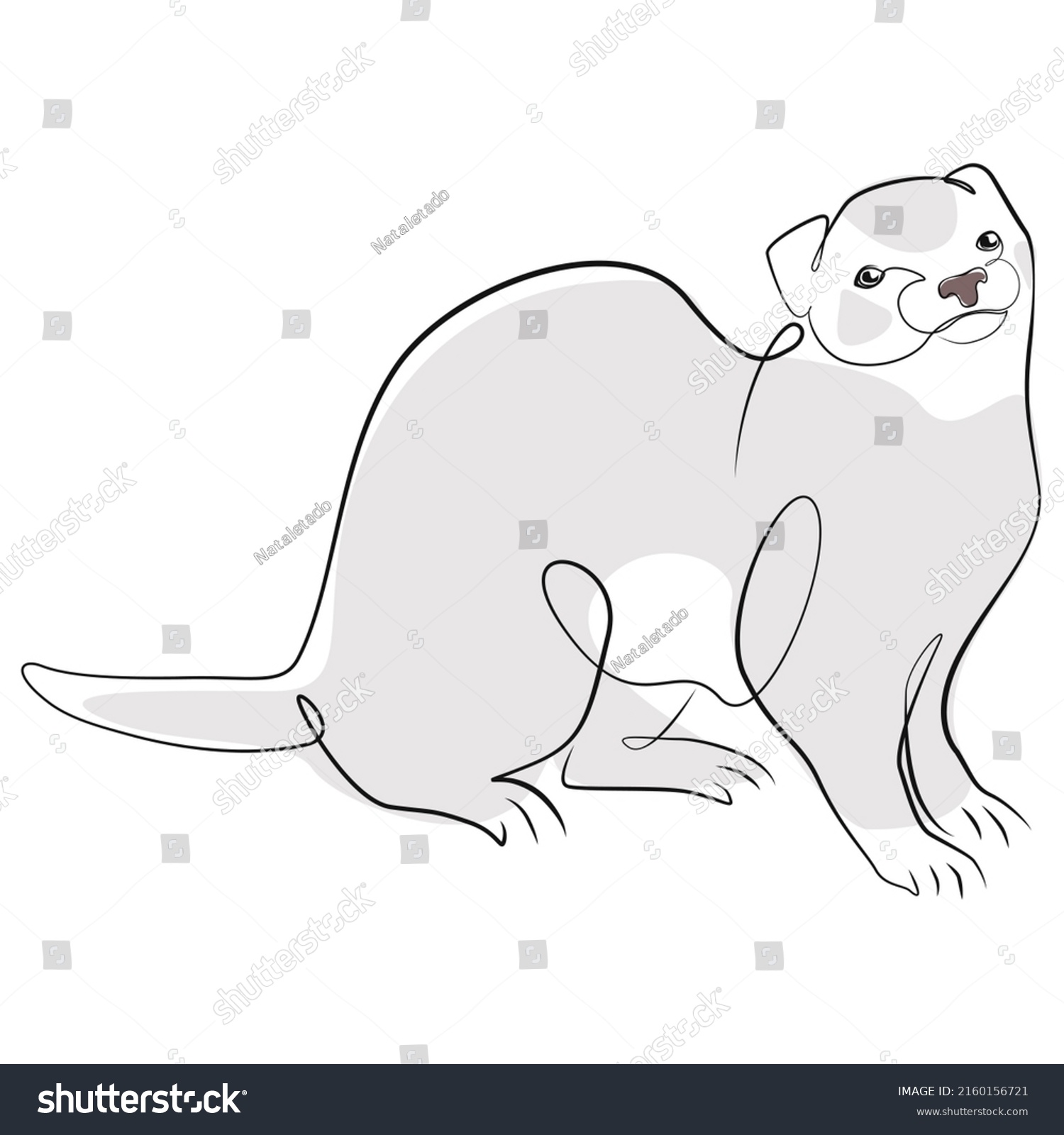 Ferret One Line Drawing On White Stock Vector (Royalty Free) 2160156721 ...