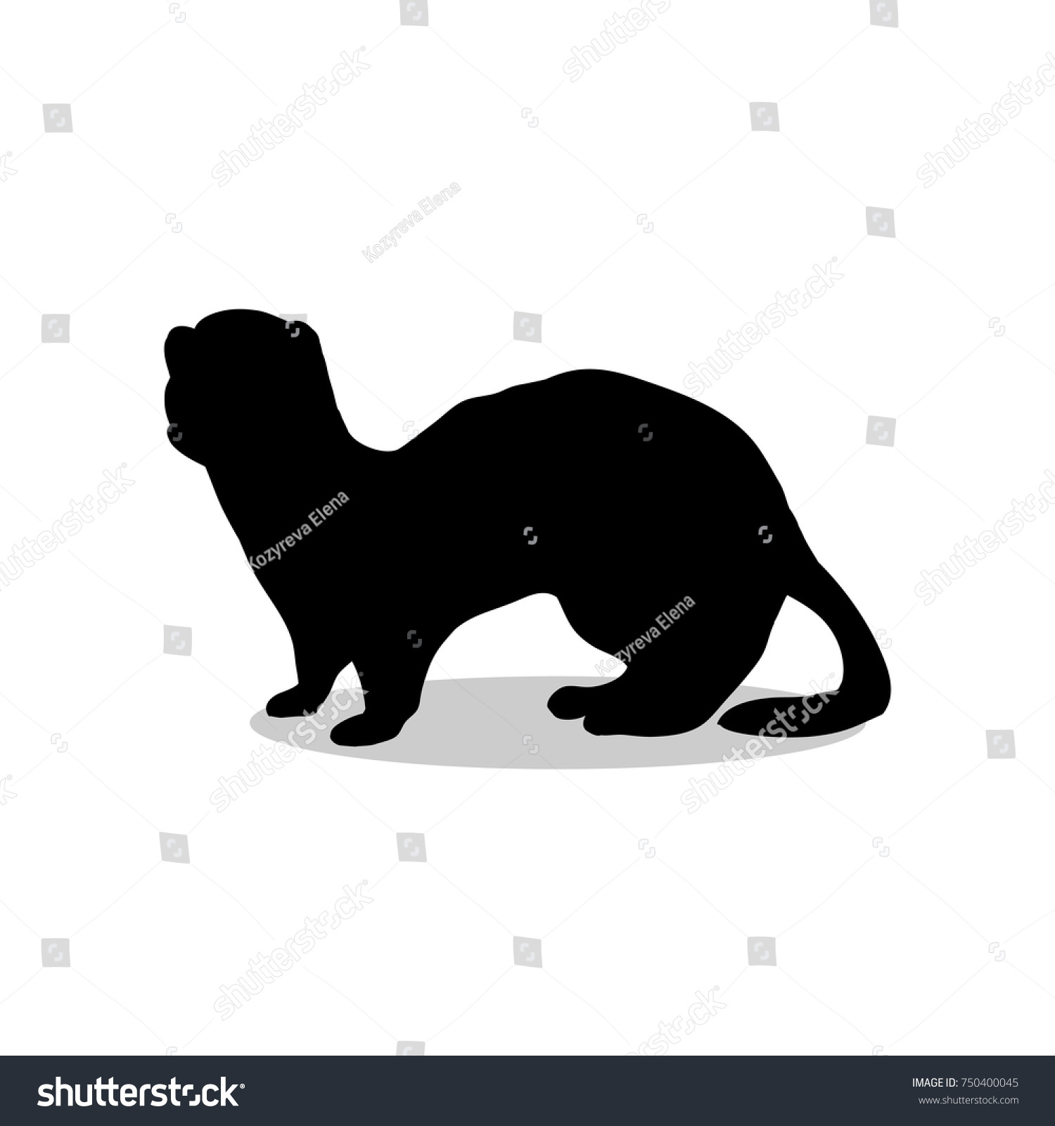 Ferret Weasel Ermine Mammal Black Silhouette Stock Vector (Royalty Free
