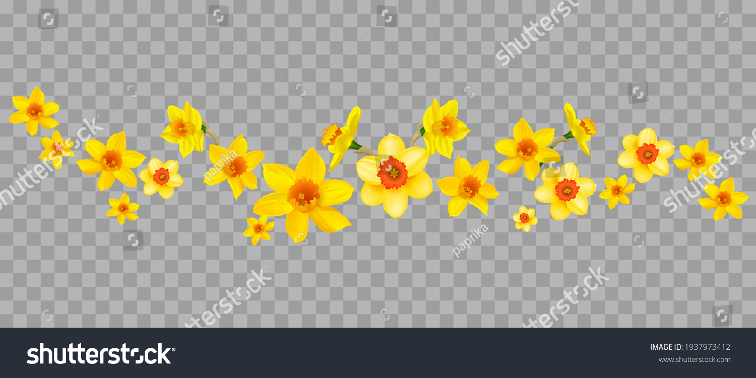 SVG of Festive floral composition with daffodils. Border for decorate card, banner, ticket, leaflet, poster, invitation, congratulations and so on. Spring floral holiday border isolated svg