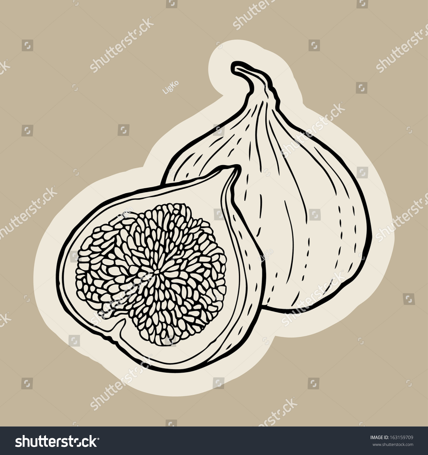 Figs Cartoon Vector Stock Vector 163159709 - Shutterstock