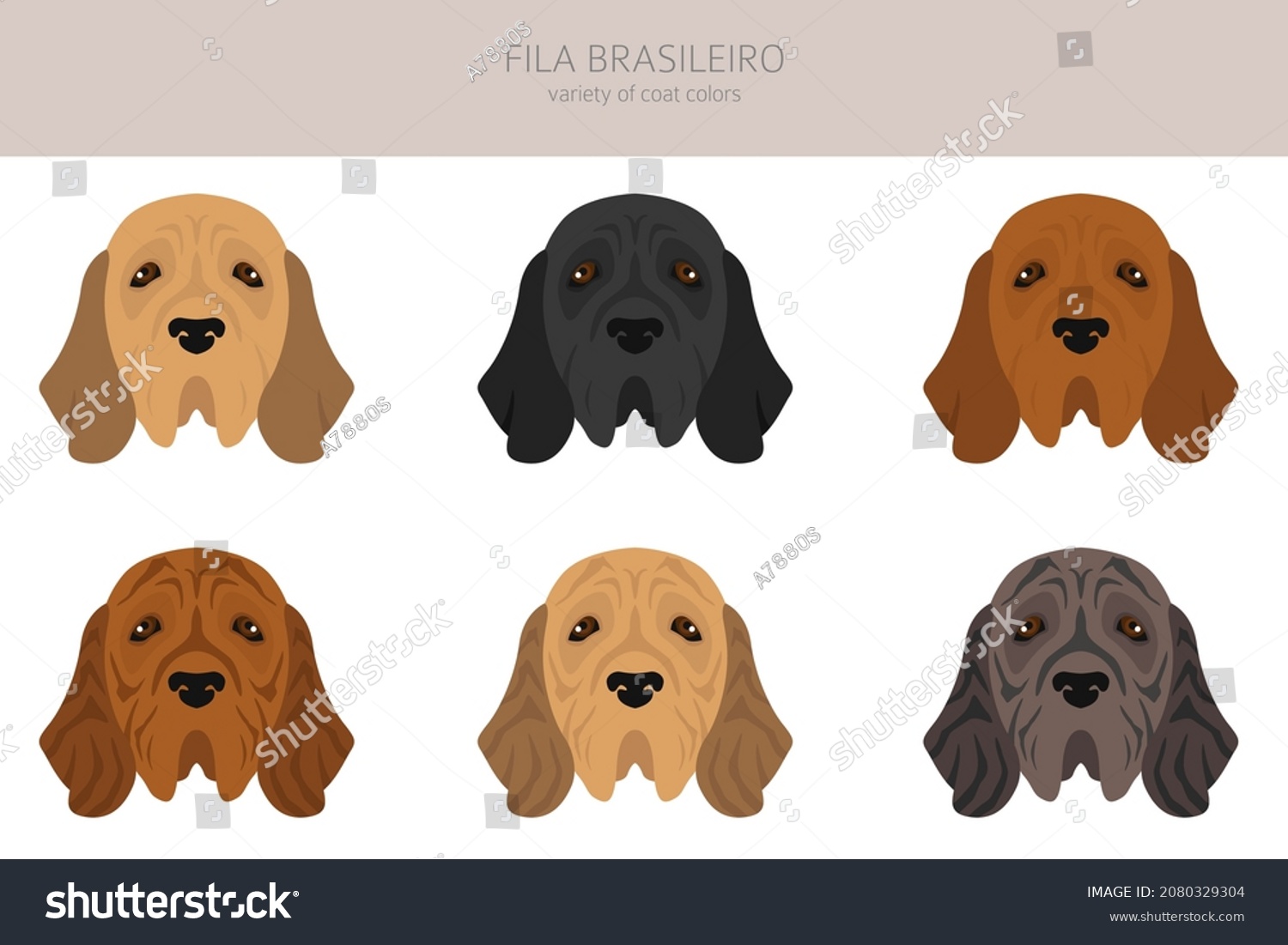 Fila Stock Illustrations Images And Vectors Shutterstock 0841