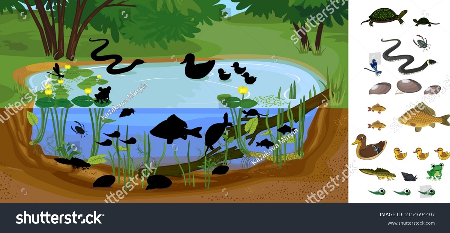 56,691 Ecosystem biodiversity Images, Stock Photos & Vectors | Shutterstock