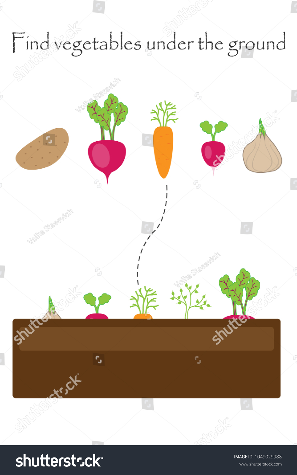 Find Vegetables Under Ground Game Pictures Stock Vector Royalty Free