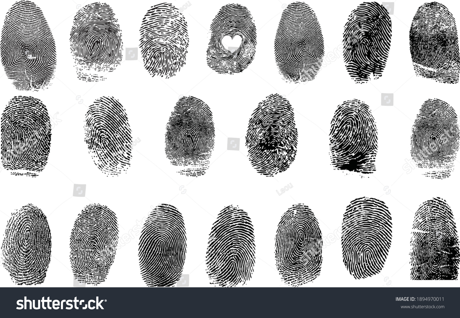 SVG of Fingerprint Biometric Vector Police Thumb Thumbprint Realistic svg