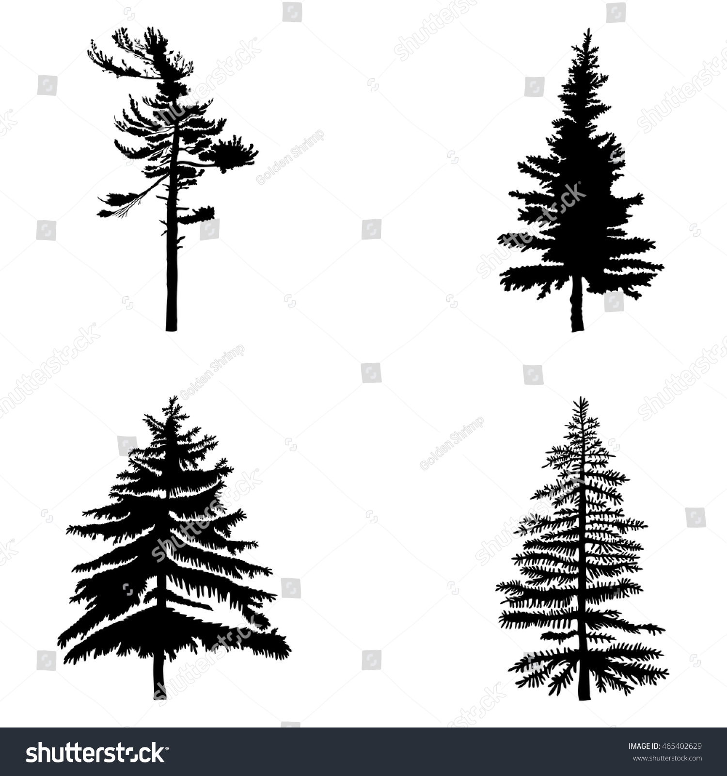 Fir Trees Set Isolated On White Stock Vector (Royalty Free) 465402629