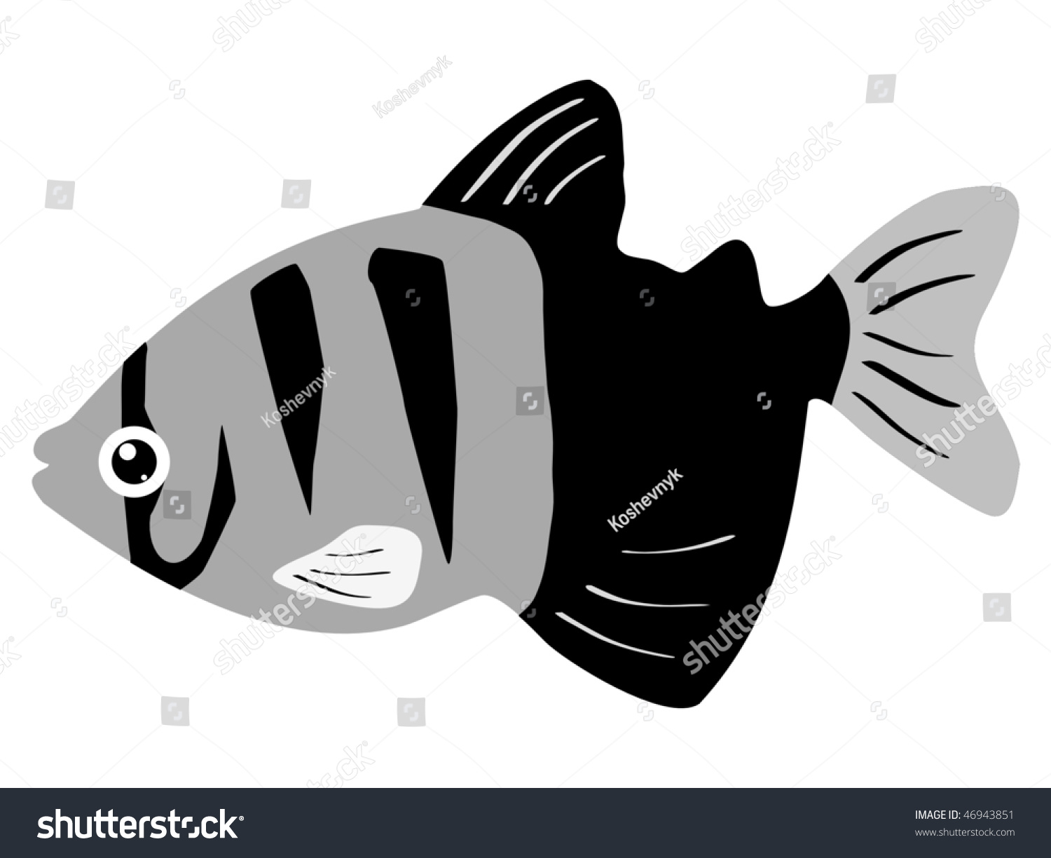 Fish Black Tetra Stock Vector Illustration 46943851 : Shutterstock