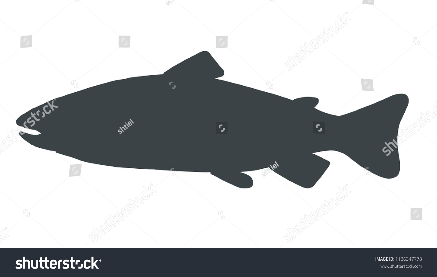 Fish Silhouette Trout Handdrawn Illustration Vector Stock Vector ...