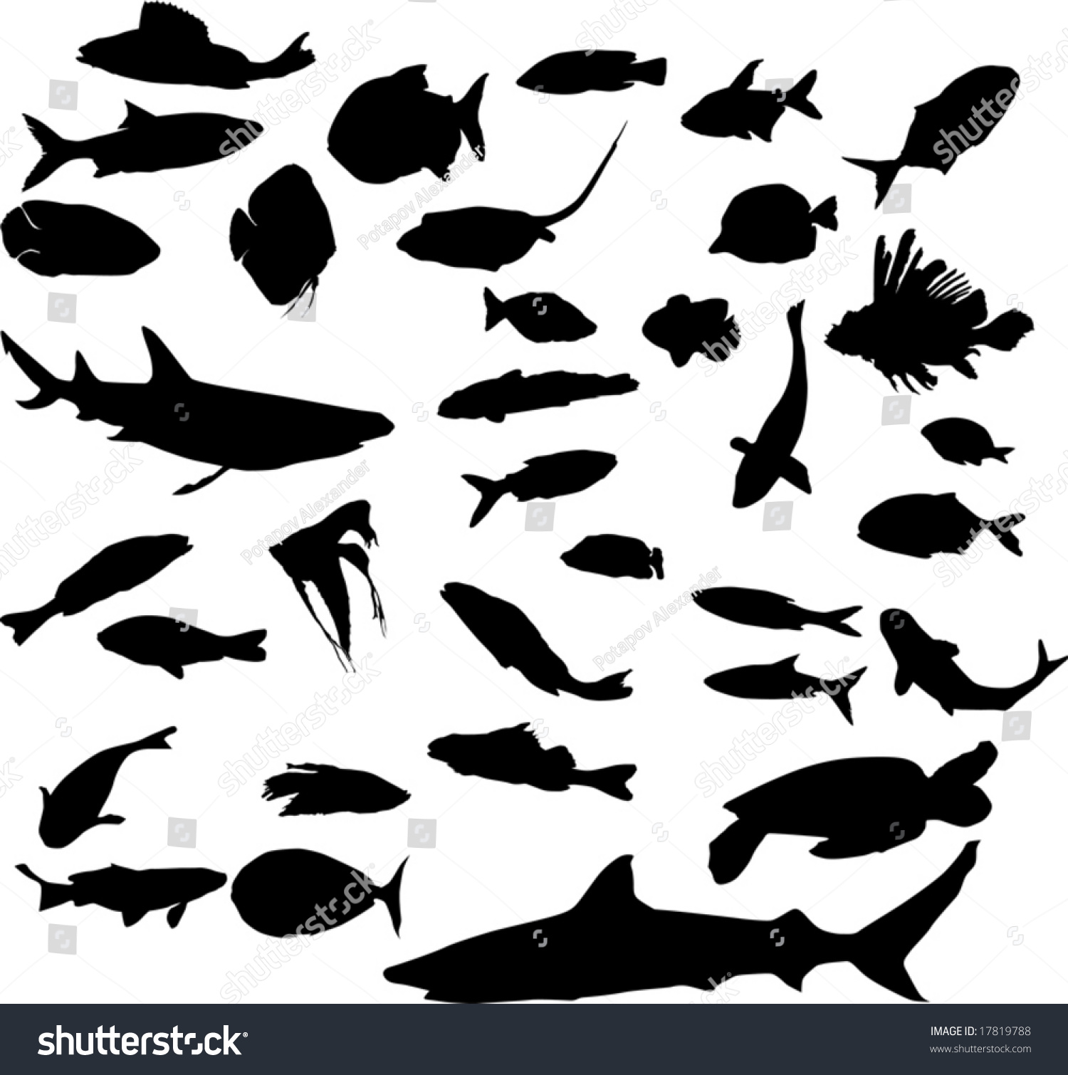 Fish Silhouettes Collection Isolated On White Background Stock Vector ...